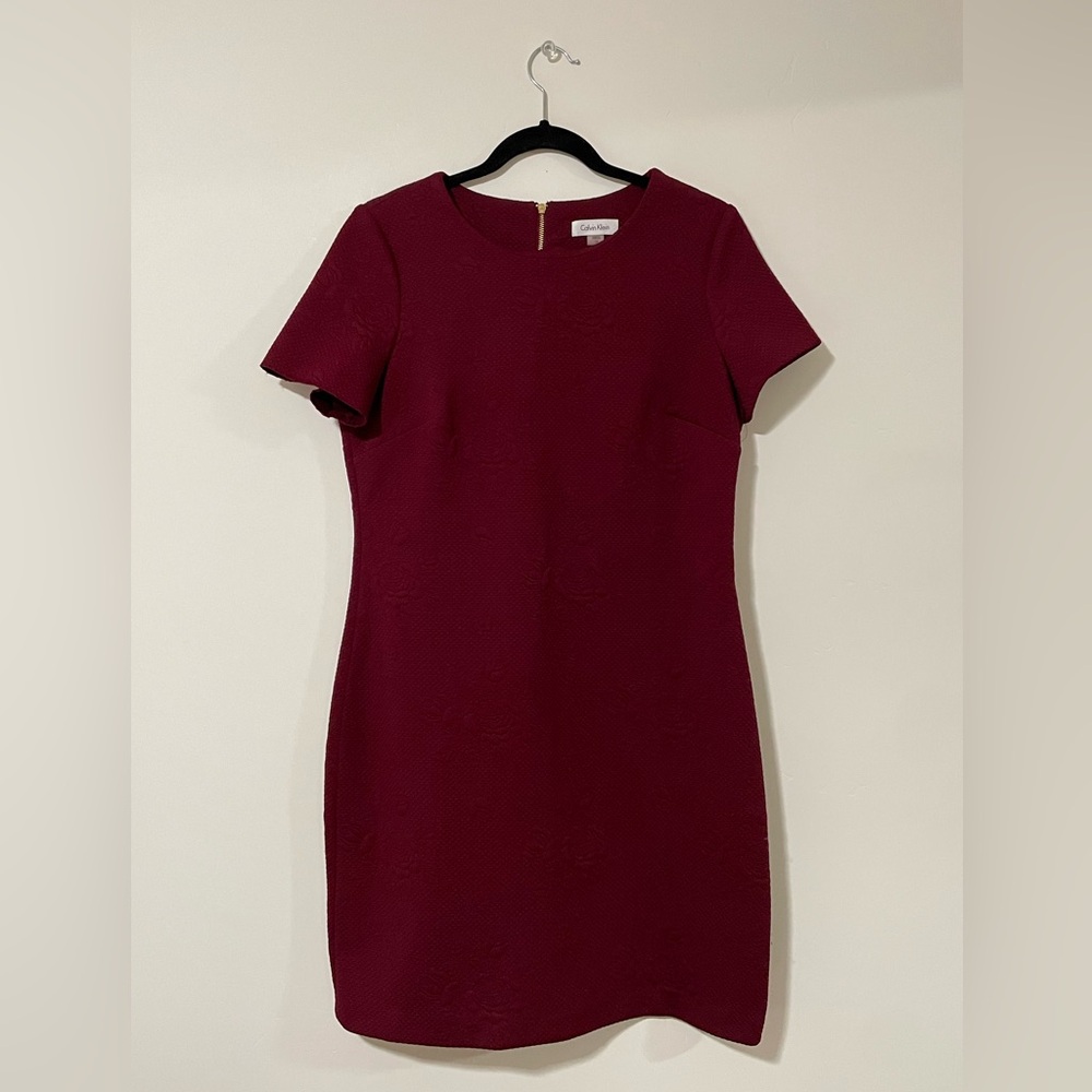 Calvin Klein Embroidered Dress